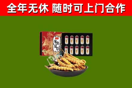 明光回收冬虫夏草价格
